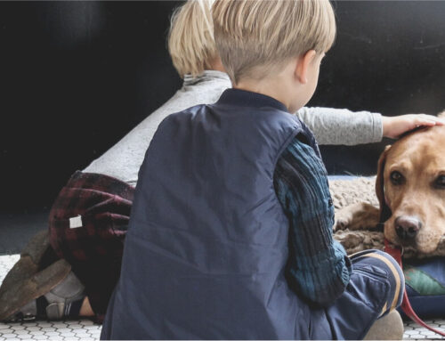 Why pets are ideal friends to children